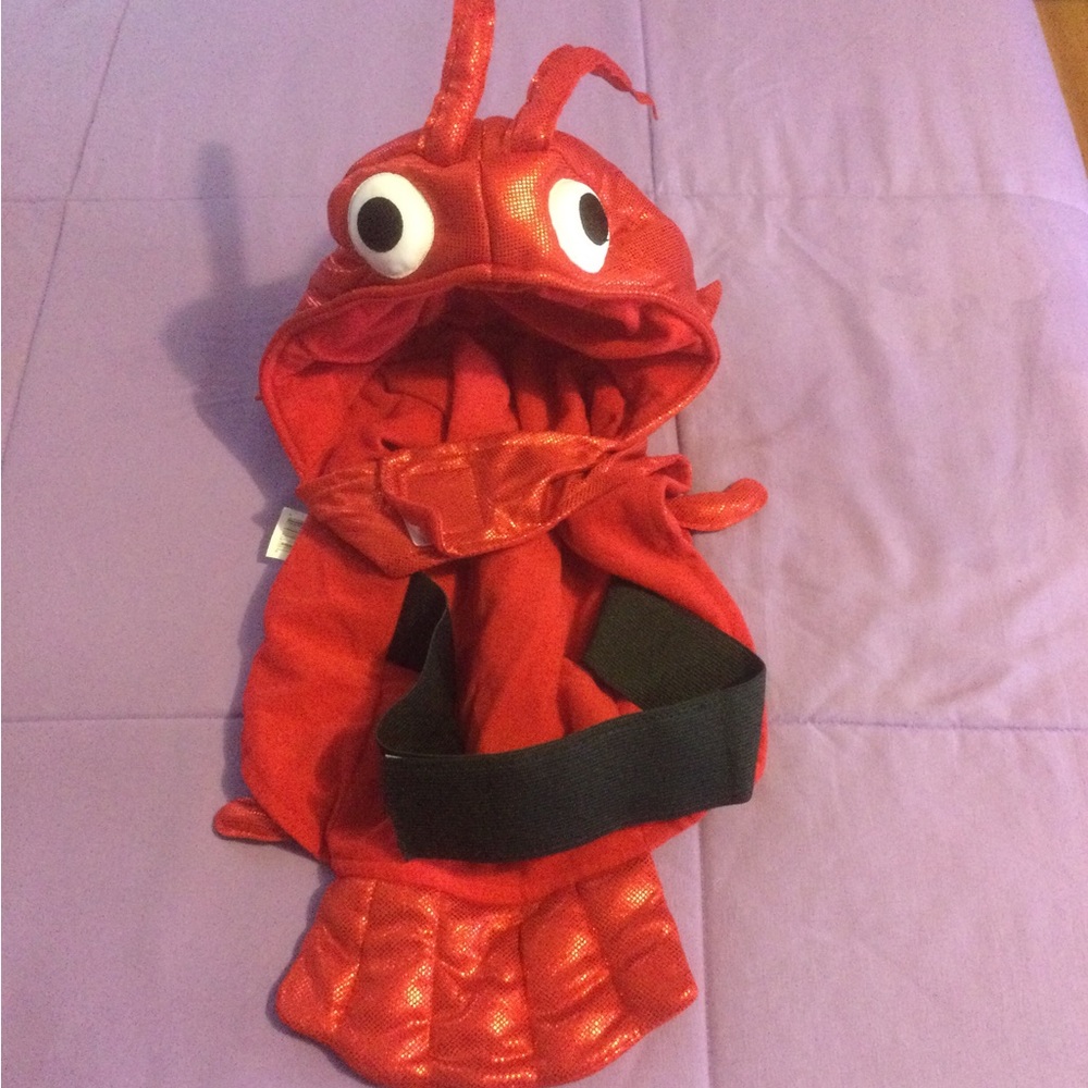 Lobster Dog Costume